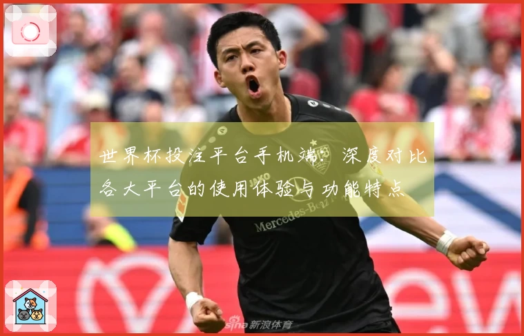 世界杯投注平台手机端：深度对比各大平台的使用体验与功能特点