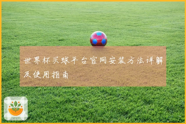 世界杯买球平台官网安装方法详解及使用指南