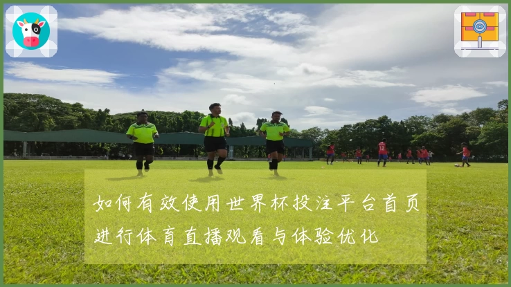 如何有效使用世界杯投注平台首页进行体育直播观看与体验优化