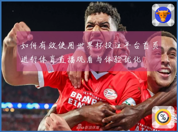 如何有效使用世界杯投注平台首页进行体育直播观看与体验优化